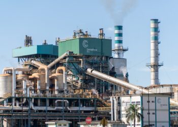 CerradinhoBio cresce 52% no início da safra 25/26