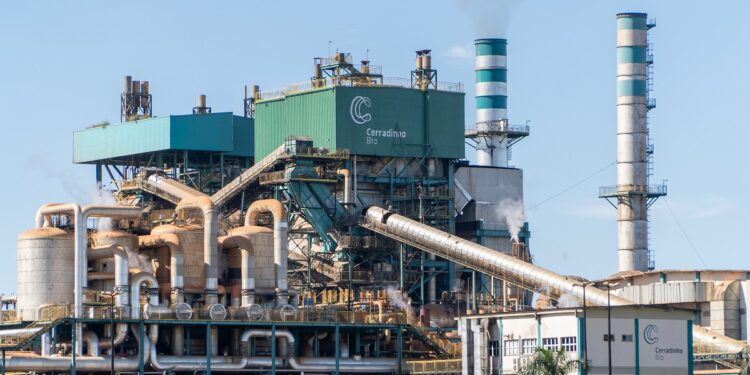 CerradinhoBio cresce 52% no início da safra 25/26