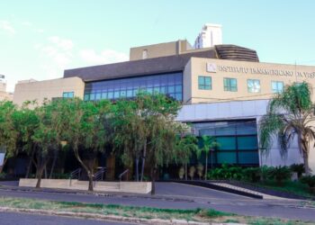 Exposição aproxima arte e sensibilidade no IPVisão