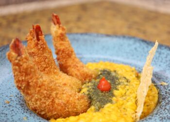 Festival ABC da Boa Mesa destaca cachaças e vinhos do Cerrado