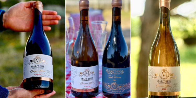 Marchese Vinhos & Vinhedos, brasiliense premiada, chega a Goiânia