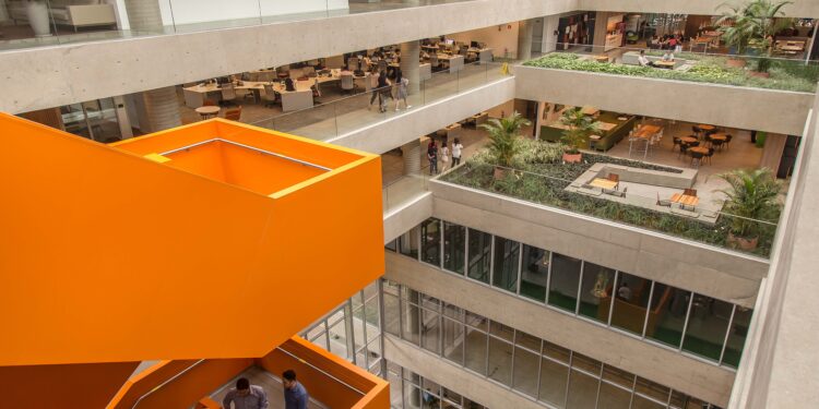 Natura recebe nota A de organização global sobre impactos ambientais