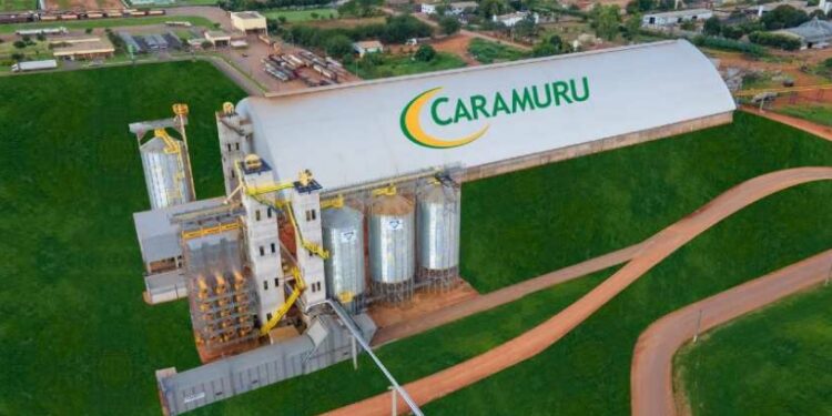 Caramuru anuncia trainee com vagas em GO e MT