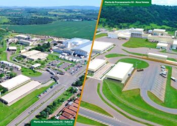 Digitalização acelera crescimento da SSA Alimentos