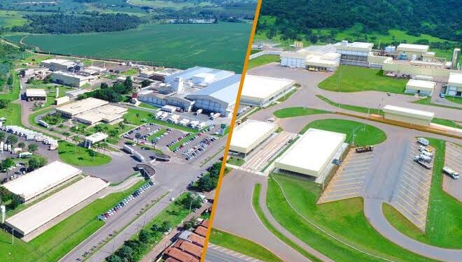 Digitalização acelera crescimento da SSA Alimentos