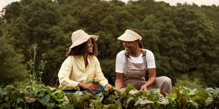 FMC promove projeto de stewardship em Sinop (MT)