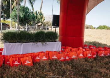 Goiana Amazon Mudas viabiliza o uso do capim Tifton 85