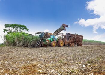 Incêndios afetam cana no Vale do São Patrício (GO)