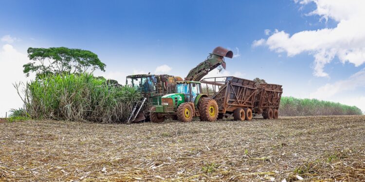 Incêndios afetam cana no Vale do São Patrício (GO)
