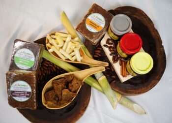 Josephina’s une gastronomia e cultura em Niquelândia