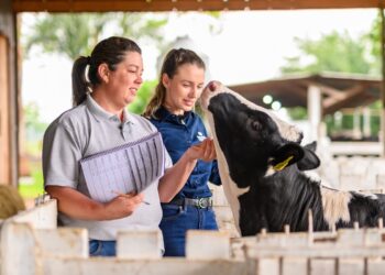 Piracanjuba e Sebrae se unem pela cadeia produtiva do leite
