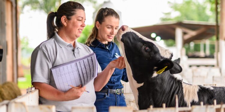 Piracanjuba e Sebrae se unem pela cadeia produtiva do leite