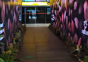 COP 30: Natura oferece experiência sensorial em Belém