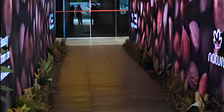 COP 30: Natura oferece experiência sensorial em Belém