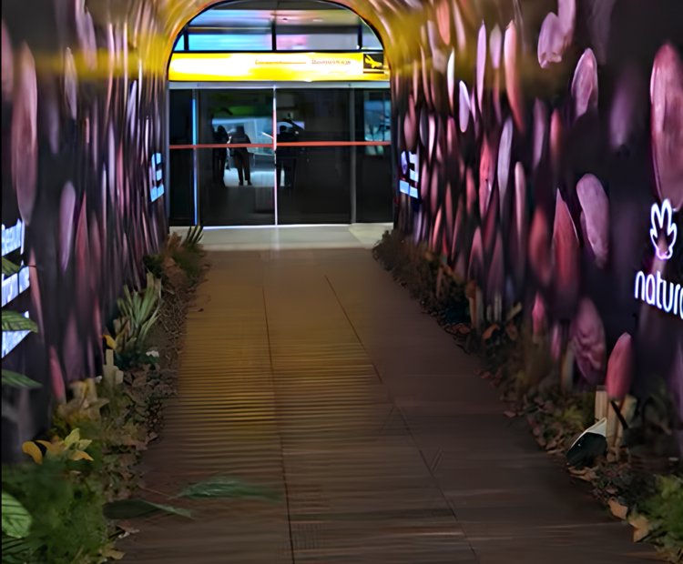 COP 30: Natura oferece experiência sensorial em Belém