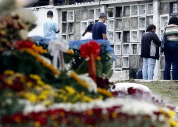 Finados: Preço de flores varia quase 590% em Goiânia