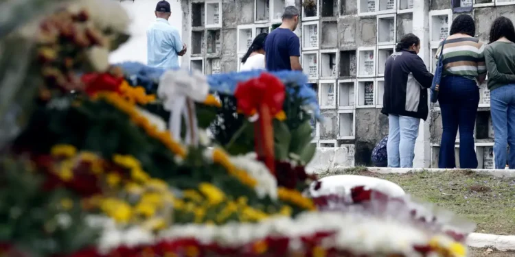 Finados: Preço de flores varia quase 590% em Goiânia
