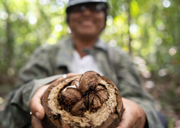 Natura converte vendas em mudança socioambiental