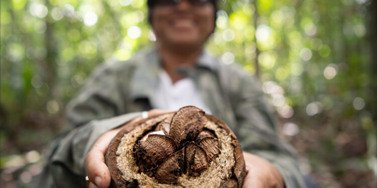 Natura converte vendas em mudança socioambiental