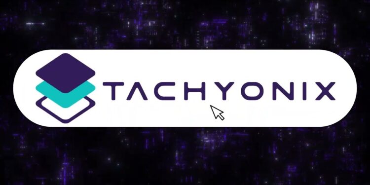 Startup de brasileiros usa IA para revolucionar gestão