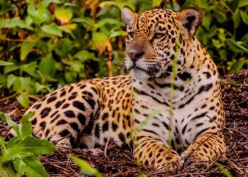 Black Friday: Descontos de até 20% em viagens por MT