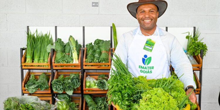 Mercadão de Águas Lindas: investimento supera R$ 50 mi