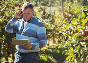 Opções para lidar com o endividamento rural