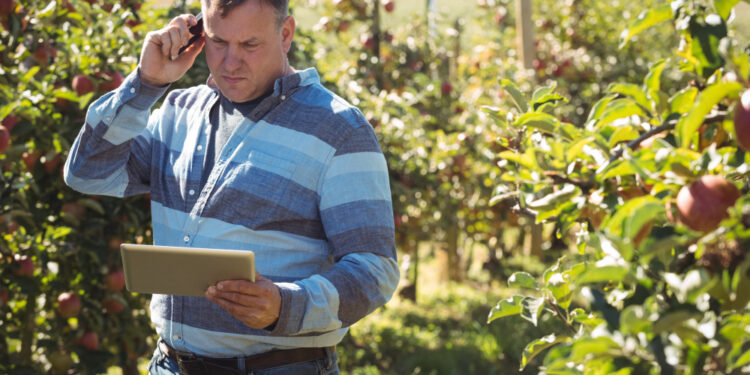 Opções para lidar com o endividamento rural