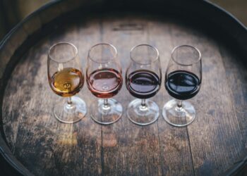 Senac Goiás lança curso premium sobre vinhos