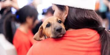 Nova edição do Adota Pet em clima de Natal