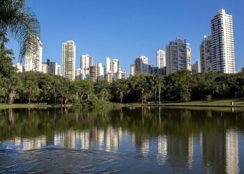 Cresce o número de fundações privadas e associações sem fins lucrativos em Goiás