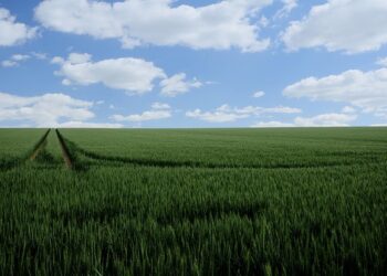 Agro regional lidera o setor de M&A no Brasil em 2026