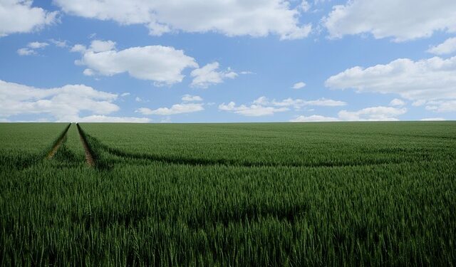 Agro regional lidera o setor de M&A no Brasil em 2026