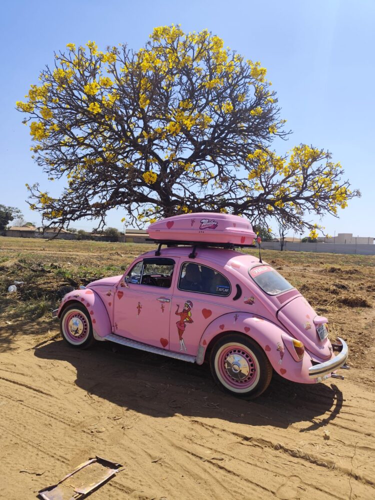 8ª Confraria de Carros Antigos acontece neste fim de semana