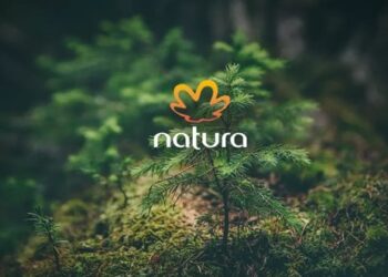 Natura conquista nota A no CDP Mudanças Climáticas