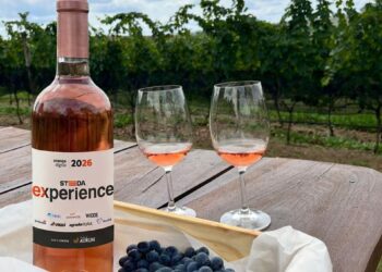 Steeda promove imersão em vinícola e conecta empresários goianos a líderes em tecnologia
