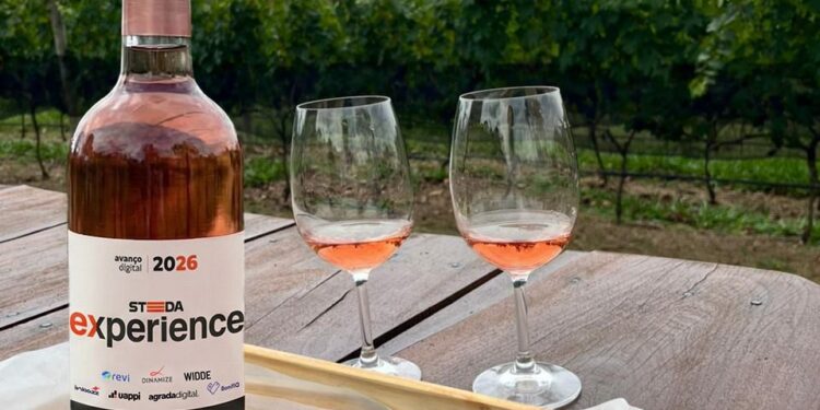 Steeda promove imersão em vinícola e conecta empresários goianos a líderes em tecnologia