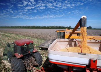 Programas do Plano Safra recebem bilhões em recursos do BNDES