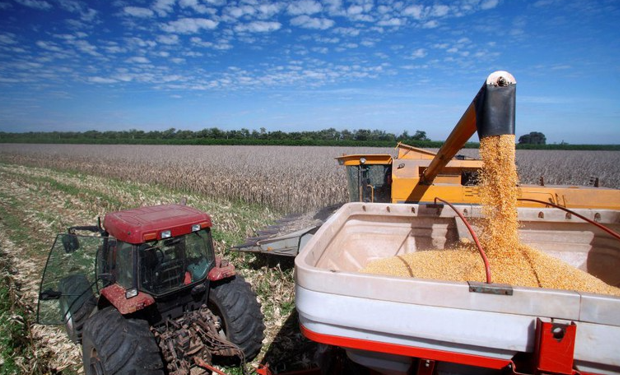 Programas do Plano Safra recebem bilhões em recursos do BNDES