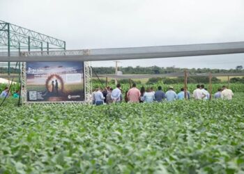 Conceito Sementes reforça agronegócio em Rio Verde
