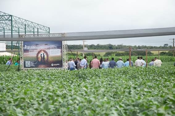 Conceito Sementes reforça agronegócio em Rio Verde
