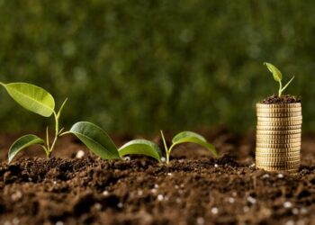 Como pequenos investidores podem surfar o boom do agro brasileiro