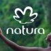 Natura é a empresa de beleza mais sustentável da América Latina