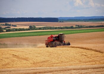 Produção goiana de grãos deve cair em 2026, aponta IBGE
