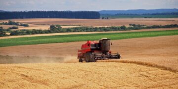 Produção goiana de grãos deve cair em 2026, aponta IBGE
