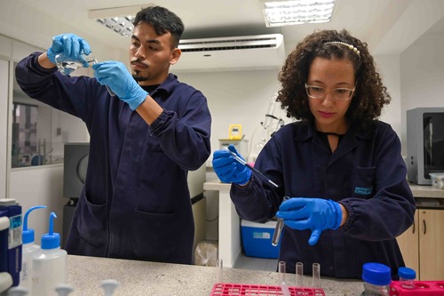 IEL está com 266 vagas para pesquisadores Inova Talentos