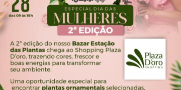 Shopping Plaza D’oro promove bazar com plantas a partir de R$ 3