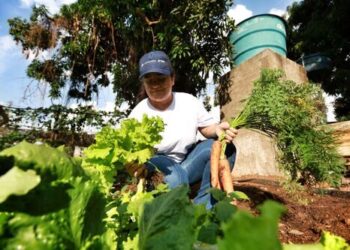 Liderança feminina na governança das cooperativas em Goiás