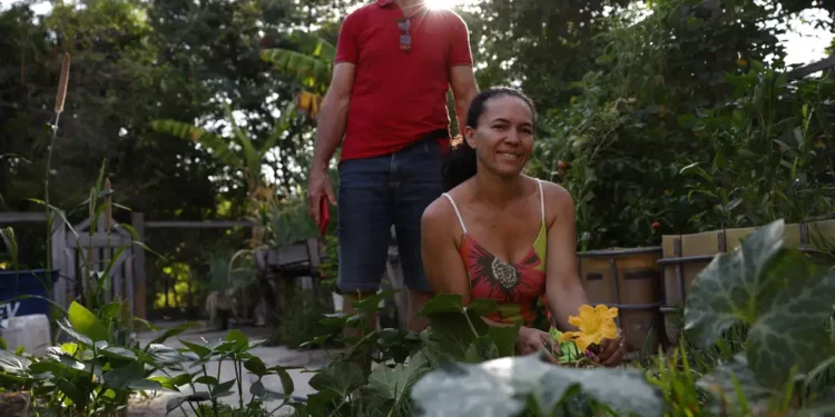 Produtores goianos já receberam R$ 4,4 bilhões em crédito do Plano Safra 2026