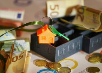 BonifiQ projeta dobrar faturamento, chegando a R$ 15 milhões